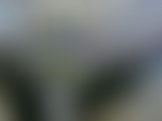 SECVER lleva con orgullo la identidad veracruzana a la Reunión Nacional de Cultura