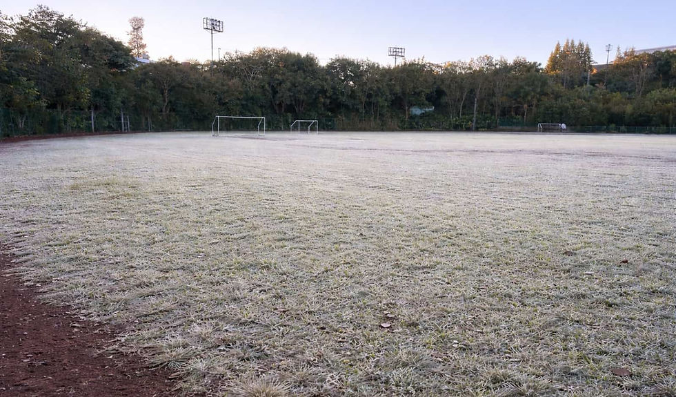 Madrugada gélida deja temperaturas bajo cero en la zona montañosa de Veracruz: hasta -6 en Perote y 3 grados en Xalapa-Coatepec