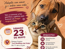 Adopta con amor y cambia una vida.