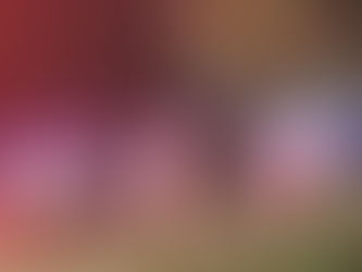 EDICIÓN 2427, UNA BRAVA MUJER AGREDIÓ Y LESIONÓ A SU ‘PEOR ES NADA’.