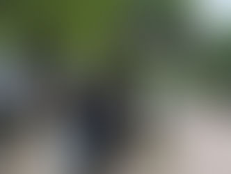 EDICIÓN 2426, DETUVIERON A MALDITO CHOCO POR AGREDIR A QUIEN LO PARIÓ.