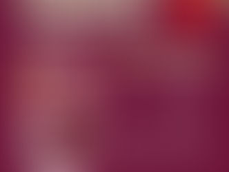 Jornada de eliminación de criaderos y lucha contra el chikungunya y dengue en Minatitlán