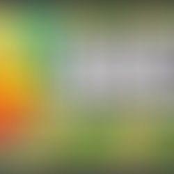 (LA MARCHA Y LA MANCHA)