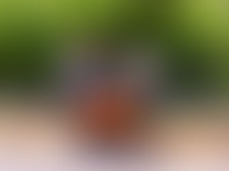 Avanza programa de limpieza de espacios públicos en Minatitlán