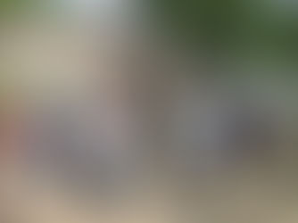 Minatitlán impulsa la cultura y la convivencia con clases de danzón