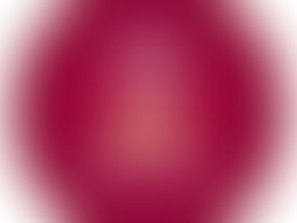 Acciones contundentes ante situaciones de seguridad en Veracruz: SSP