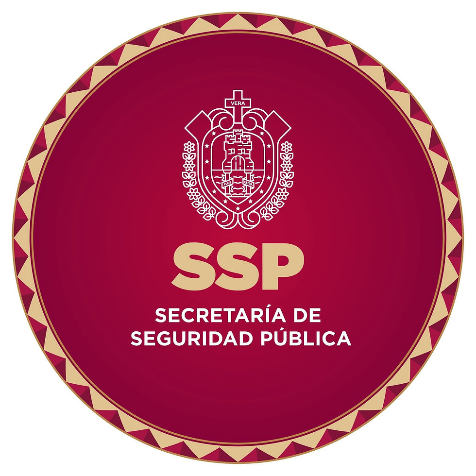 Acciones contundentes ante situaciones de seguridad en Veracruz: SSP