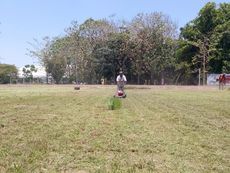 Gobierno Municipal realiza labores de limpieza en espacios públicos