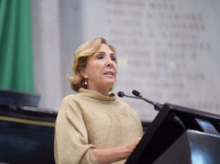 Exhorta diputada a regularizar centros de atención de adicciones en Veracruz