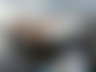 EDICIÓN 2424, UN AUTOTANQUE CON ACEITE VEGETAL VOLCÓ EN LAS MATAS.