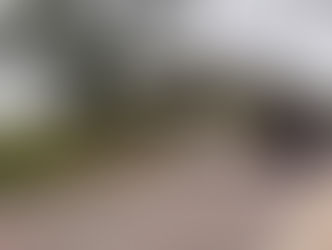 EDICION 2432 ATACARON A BALAZOS A ELEMENTOS DE LA UECS.EDICION 2432 ATACARON A BALAZOS A ELEMENTOS DE LA UECS.