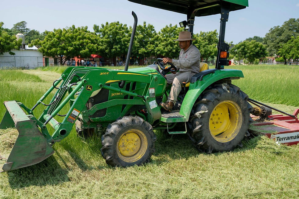 Realizan trabajos de limpieza y mantenimiento en el Parque Deportivo Rosalinda