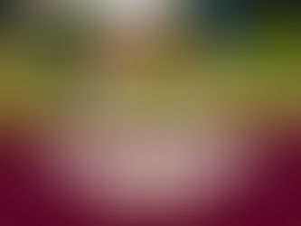 6 de abril | Día Mundial de la Actividad Física