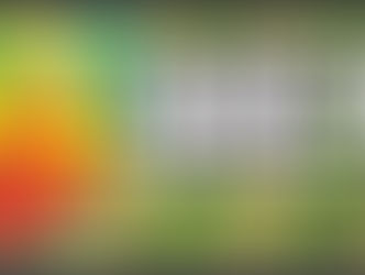 EDICIÓN 2419 COSAMALOAPAN VER.LA VOZ QUE VUELA"LIC. HERMAN CARRILLO S. “LA HECATOMBE QUE SUFREN LOS PRODUCTORES DEL CAMPO Y 10 PUNTOS DE AGRAVIO