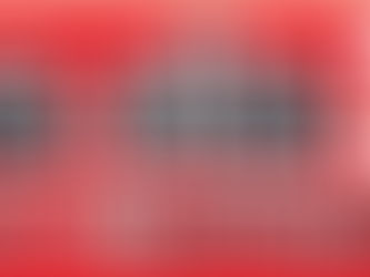 ColumnaSinNombre | PESA LA AUSENCIA DEL “PAPO” LEVET; HASTA LANA YA FALTA EN FESAPAUV, DICEN.