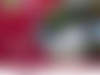 ✨ Regado de las jardineras del puente Rébsamen y del Teatro del Estado para que luzcan relucientes y llenas de vida. 🌿💖