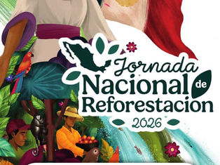#ElTecMinaInforma #OrgullosamenteTecMina #HumanismoParaLaJusticiaSocial🌱 ¡𝘚Ú𝘔𝘈𝘛𝘌 𝘈 𝘓𝘈 𝘑𝘖𝘙𝘕𝘈𝘋𝘈 𝘕𝘈𝘊𝘐𝘖𝘕𝘈𝘓 𝘋𝘌 𝘙𝘌𝘍𝘖𝘙𝘌𝘚𝘛𝘈𝘊𝘐Ó𝘕 2026!🌳
