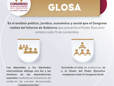 ¿Qué pasa si un ciudadano, por medio de sus representantes populares, requiere conocer un tema específico del quehacer gubernamental? Existe una figura denominada Glosa, que sirve para ampliar esa inf