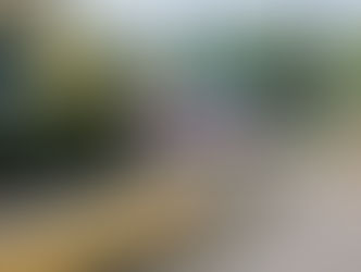 EDICIÓN 2440, TAXI VOLADOR SE INCRUSTÓ CONTRA UN POSTE DE LUZ.