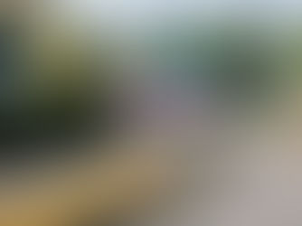 EDICIÓN 2440, TAXI VOLADOR SE INCRUSTÓ CONTRA UN POSTE DE LUZ.