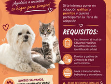 🐾 ¡Ayúdalos a encontrar un hogar para siempre!