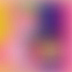 La política en rosa