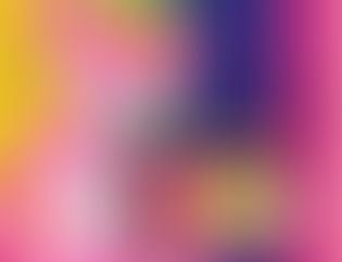 La política en rosa