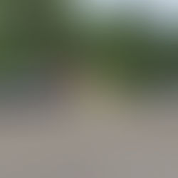 EDICIÓN 2421 ATACARON A BALAZOS EL RANCHO DEL ALCALDE ELECTO DE JÁLTIPAN