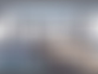 EDICIÓN 2425, MUELLE 1, DESDE PALACIO.