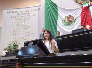 Podrían modificarse dictámenes aprobados, para correcciones de buen lenguaje