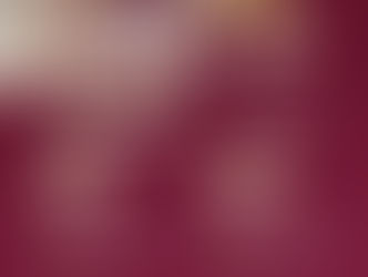 ¡Vive la emoción del 2º Torneo de Robalo!