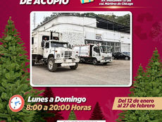 ¡Xalapa, súmate a la campaña ECO Navidad 2026! Lleva tu árbol de Navidad natural a los centros de acopio y dale una segunda vida. 