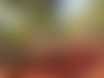 EDICIÓN 2434 SIETE PERSONAS INHUMADAS EN UNA FOSA CLANDESTINA.