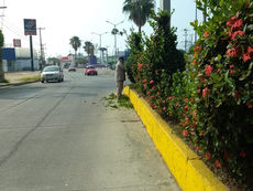 Gobierno de Minatitlán refuerza jornadas de limpieza