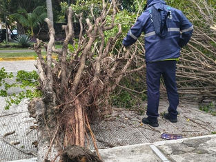 Ante las afectaciones del tiempo, el equipo de Tránsito Municipal de la #CiudadHeroicaDeVeracruz redobla esfuerzos en dos frentes clave para tu seguridad: