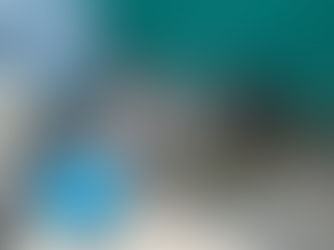 Resguarda Ayuntamiento de Veracruz a canino en situación de riesgo en zona norte de la ciudad
