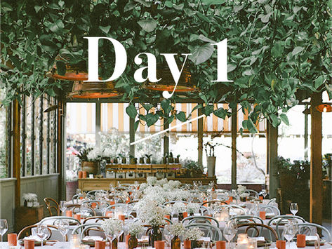 悉尼  ☼  玩盡悉72小時  |  隱藏於城市中的秘密花園 ✿ 乘搭觀光渡輪前往動物園