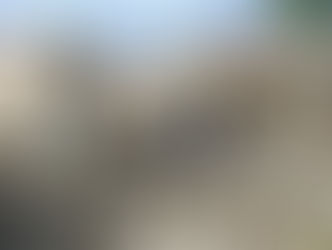 Lest We Forget: The Silent but Unforgotten 2013 Bohol Earthquake