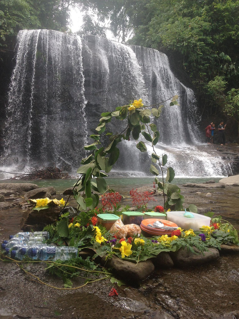 waterfall lunch