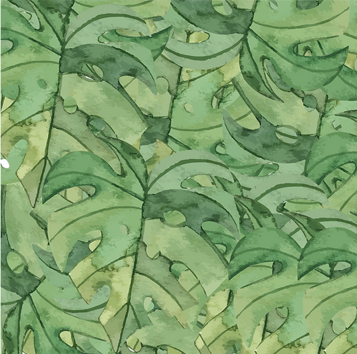 Website Assets-01 - copie.png