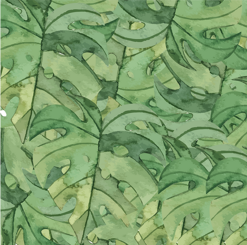 Website Assets-01 - copie.png