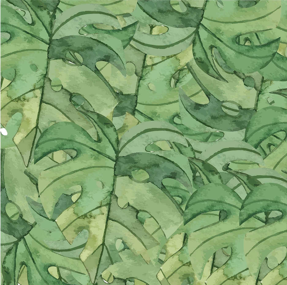 Website Assets-01 - copie.png