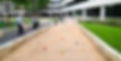 255_3456 - edited.jpg