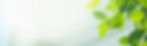 AdobeStock_330555265.jpeg