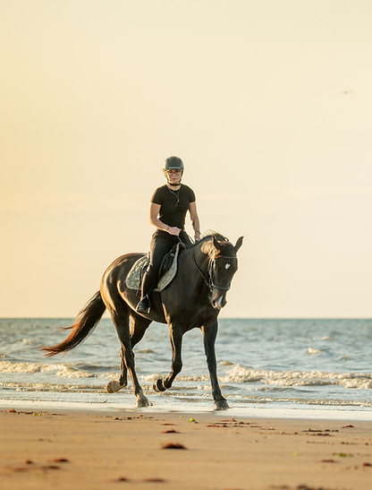cheval galop plage