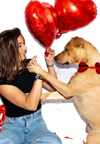 photo studio chien.jpg