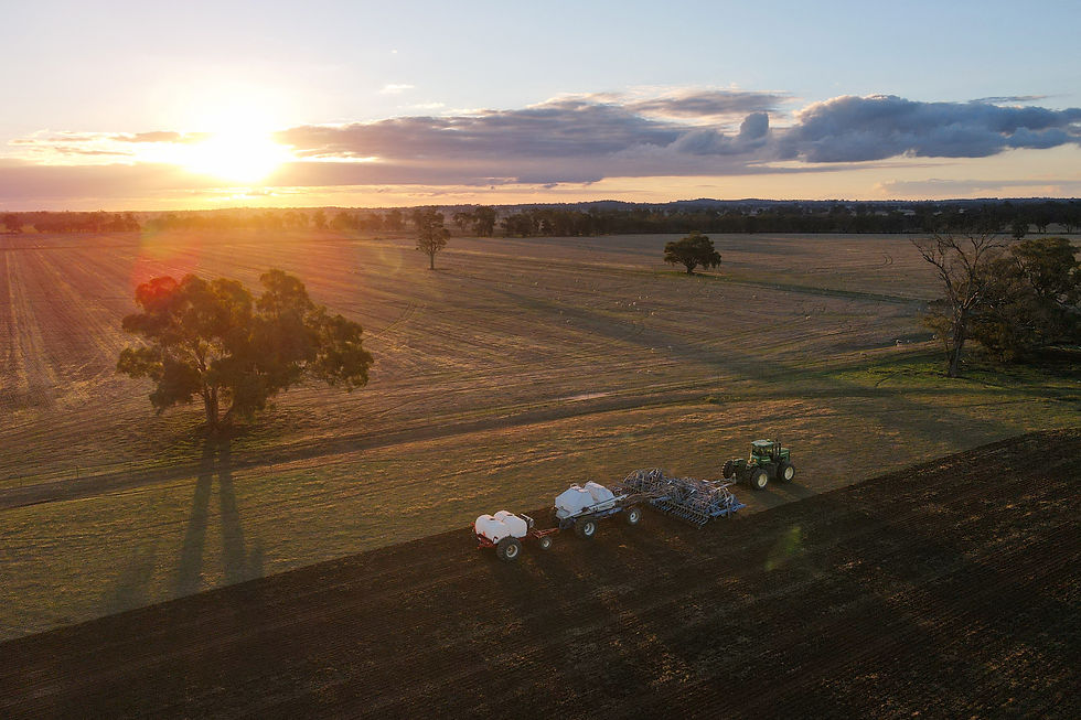 Australia's farmers, hit by Iran war costs and dry weather, grow less wheat