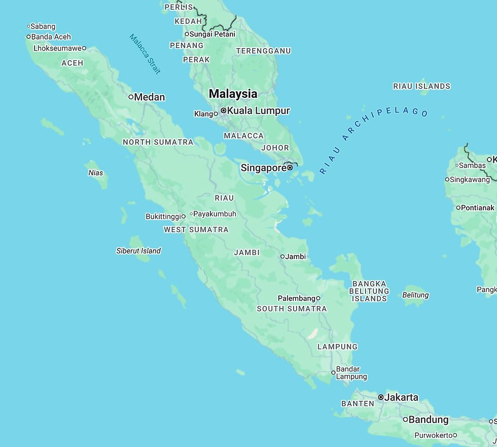 Land seized from 28 firms linked to Sumatra floods will be managed by Indonesia's Danantara, official says