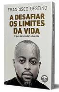mock do livro.png