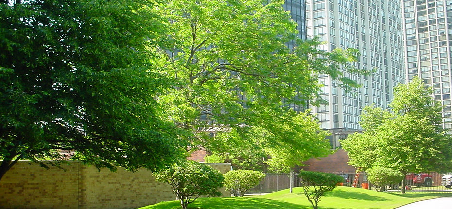 Full Service Landscape and Snow Services